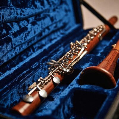 Oboe in Blue Velvet Case