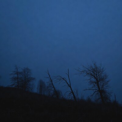 Silhouettes of bare trees on dark blue hill