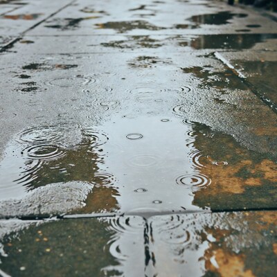 Wet Puddles on Rainy Pavement