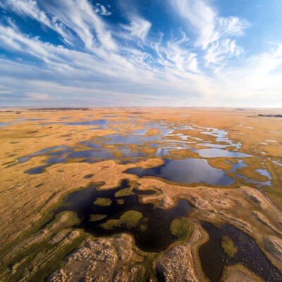 Aerial view of wetlands with ponds