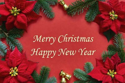 Merry Christmas Happy New Year Floral Border