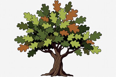 Oak Tree Illustration
