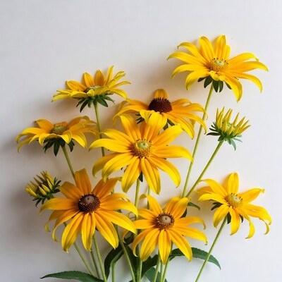 Yellow Black-Eyed Susan Flowers Bouquet