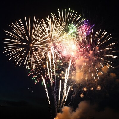 Colorful Fireworks Exploding in Night Sky
