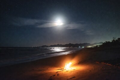Beach bonfire under starry moonlit sky