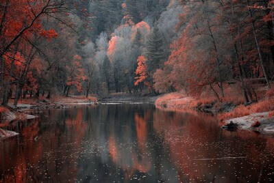 Autumn Forest River Reflection
