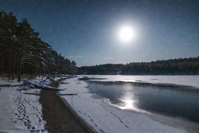 Moonlit Frozen Lake with Snowy Pines
