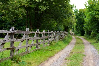 Wooden fence along rural path