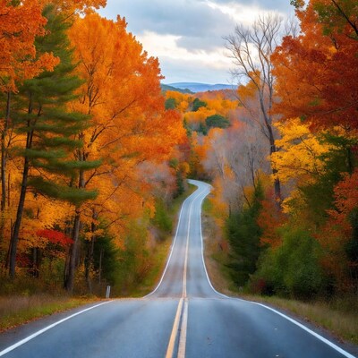 Winding road through autumn forest