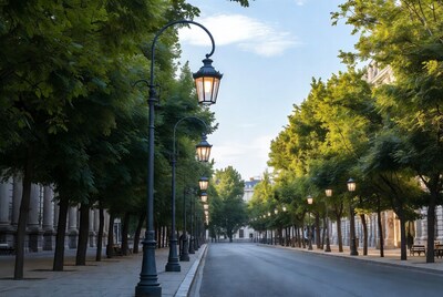 Tree-Lined Street with Street Lamps