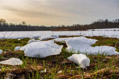 Snow Patches on Green Grass