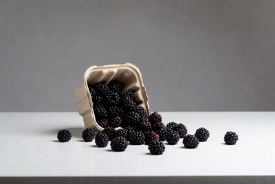 Blackberries spilling from carton