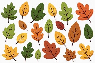 Colorful Autumn Leaves Clipart