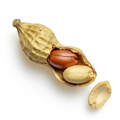 Split peanut pod with seeds
