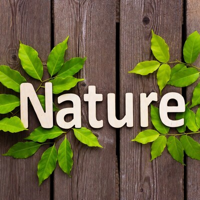 Nature word with green leaves on wood