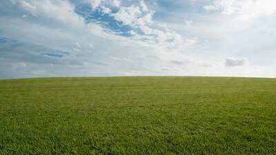 Vast green hill under cloudy sky