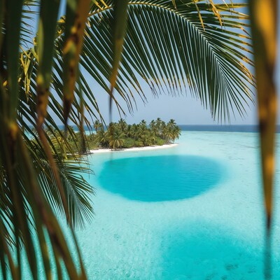 Tropical Palm Fronds Over Lagoon Island