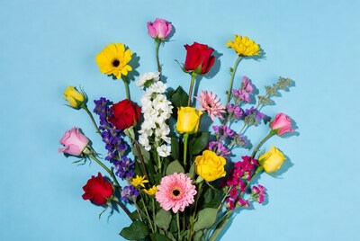 Colorful flower bouquet on blue background