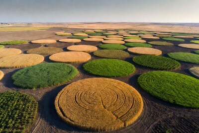 Circular Crop Fields Aerial View