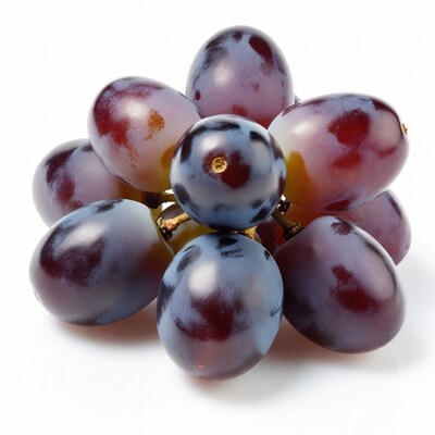 Bunch of purple grapes