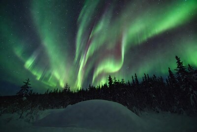 Northern Lights over Snowy Forest