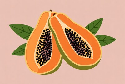 Two Papaya Halves with Leaves