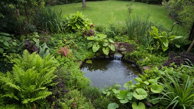Garden pond with waterfall and lush plants