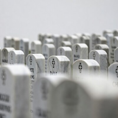 Rows of white military gravestones