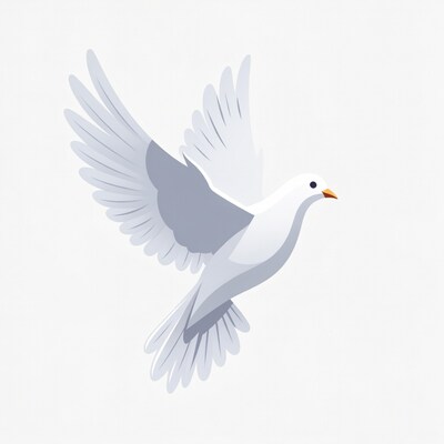 White dove flying illustration