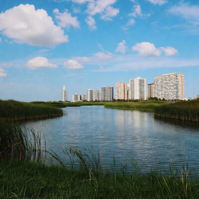 Skyscrapers reflecting in marsh waterway