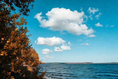 Autumn trees by lake with blue sky