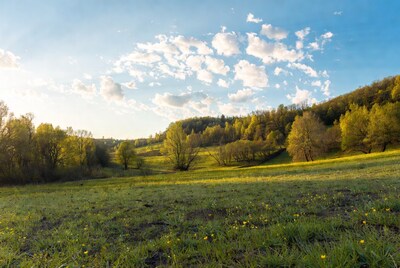 Autumn meadow with yellow flowers and hills