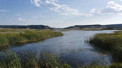Scenic lake with reeds and mountains