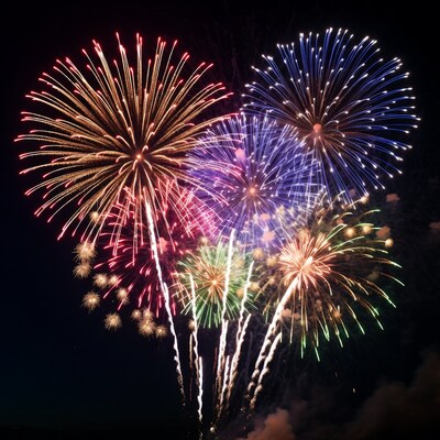 Colorful Fireworks Exploding in Night Sky