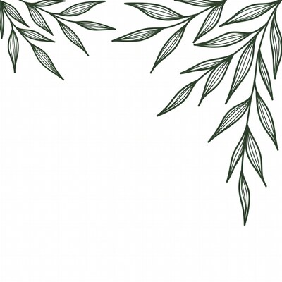 Green Leaf Branches Corner Illustration
