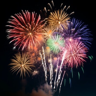 Colorful Fireworks Bursting in Night Sky