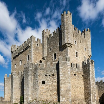 Medieval stone castle with towers