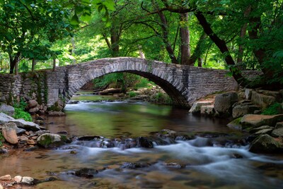 Stone Arch Bridge over Forest Stream