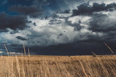 Stormy clouds over golden grass field