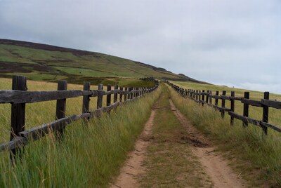 Dirt path between wooden fences in hills