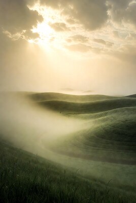 Misty rolling green hills at sunrise