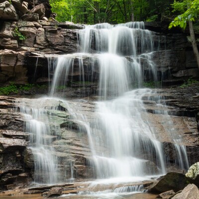 Waterfall cascading over rocks in forest