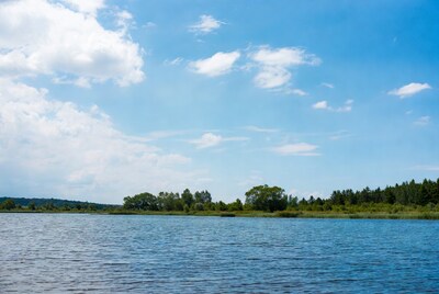 Serene lake with trees and blue sky