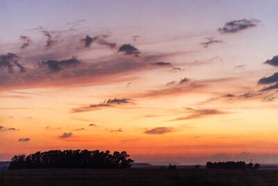 Vibrant sunset over field and trees