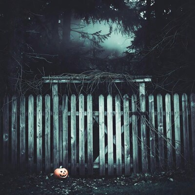 Jack-o-lantern by haunted wooden fence