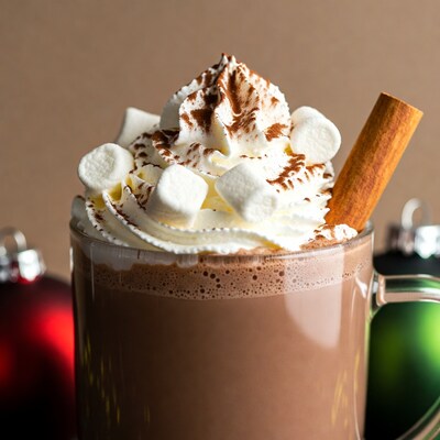 Hot Chocolate with Whipped Cream and Marshmallows