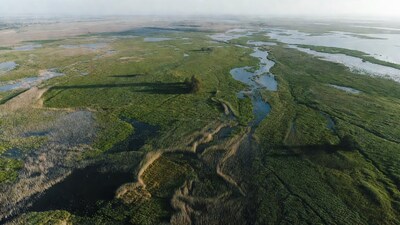 Aerial view of marshland wetlands