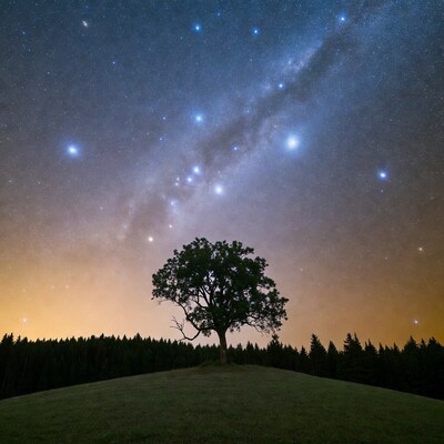 Lone tree under Milky Way