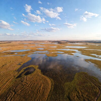 Aerial view of wetlands with ponds