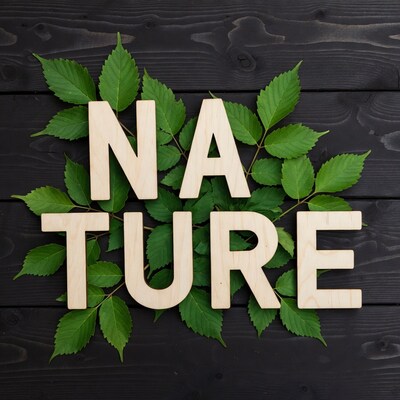 Nature Wooden Letters with Green Leaves